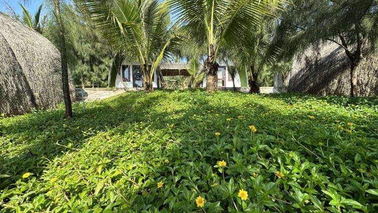 ALL-INCLUSIVE COMBO 3D2N — OCEAN VIEW BUNGALOW 6 Adults 9