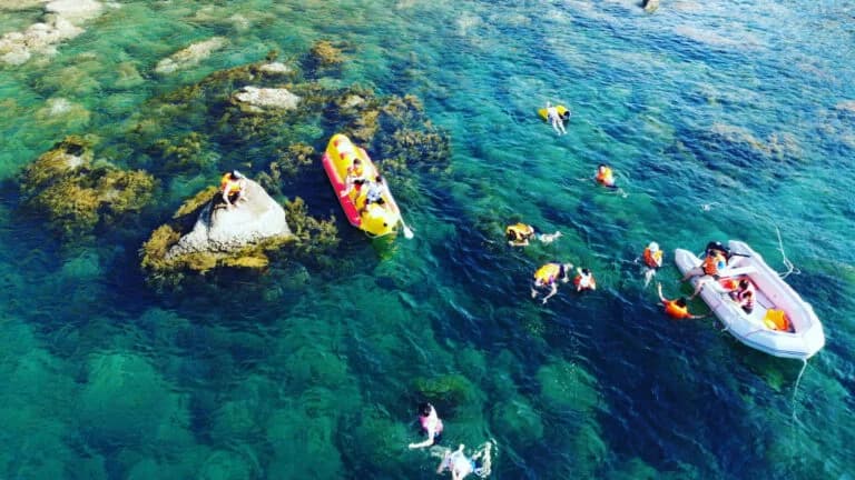 Coral Diving
