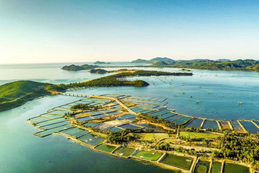 Resort ở Sông Cầu Phú Yên đang được nhiều du khách lựa chọn nhất hiện nay 1 Resort ở sông cầu phú yên được nhiều du khách lựa chọn nhất hiện nay